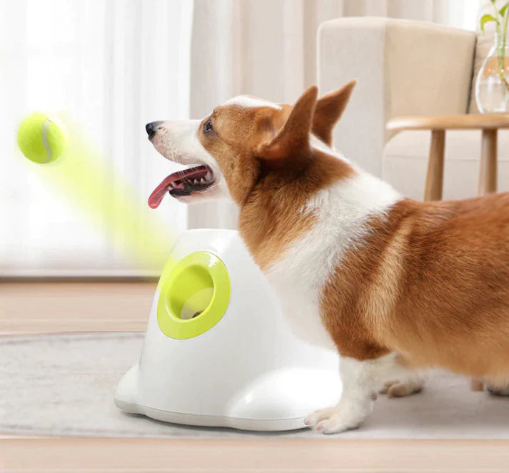 PawfectEssentials™ — Automatic Mini Ball Launcher